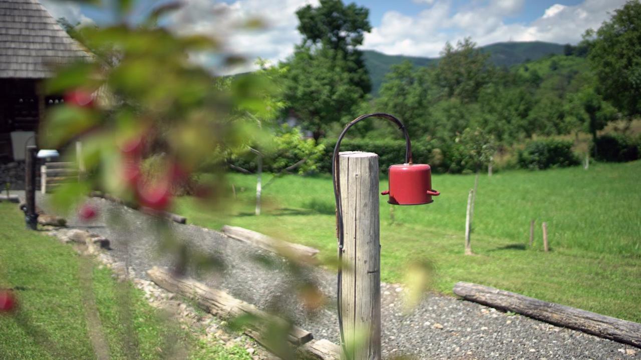 Iz de Maramures Surdesti (Maramures) Exterior foto