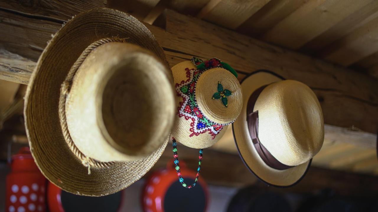 Iz de Maramures Surdesti (Maramures) Exterior foto