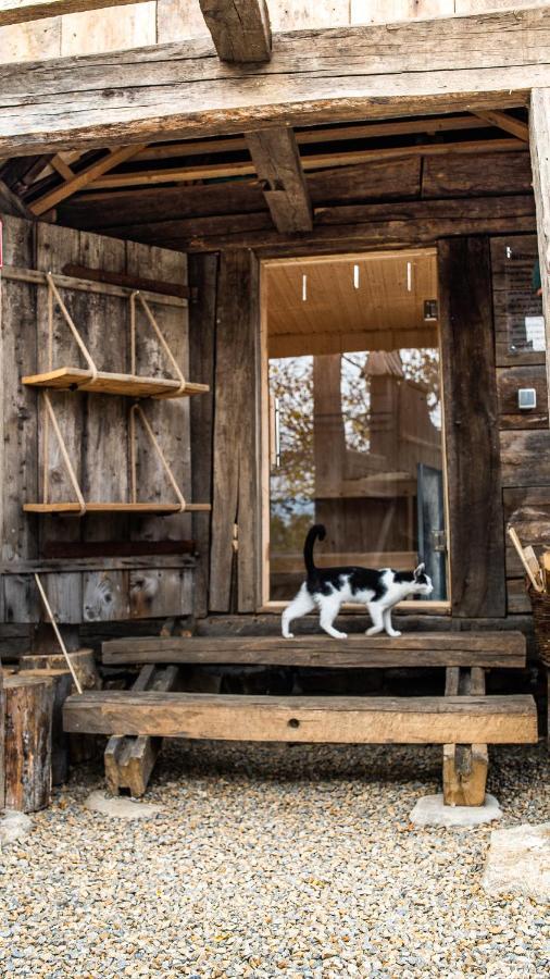 Iz de Maramures Surdesti (Maramures) Exterior foto
